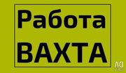 Требуются Строители на Вахту в С-Петербург из Борисова